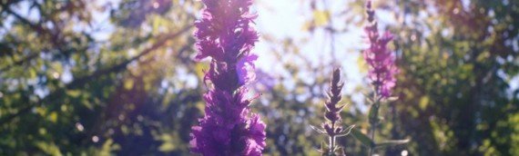 Release anxiety and worry with mindfulness meditation