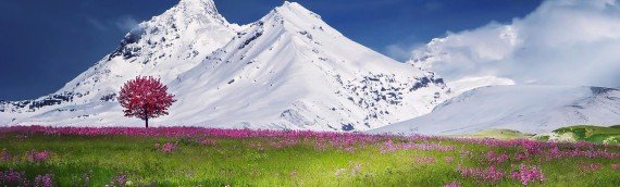 Detox your mind with self-hypnosis