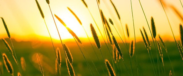 Overcome fear and negativity
