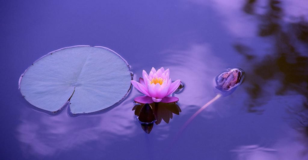 Re-Centre Yourself