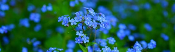 Overcome Bereavement