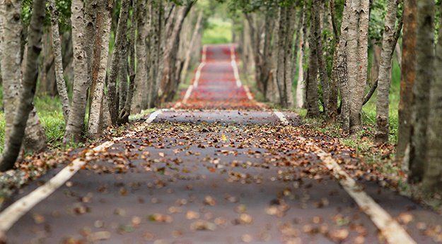 Overcome Bereavement
