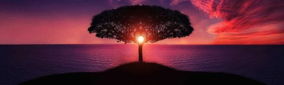 Recognising your Past Life